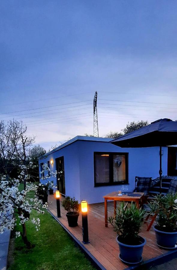 Bergblick Apartment Thale Luaran gambar